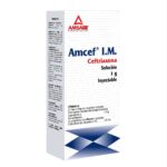 AMCEF CEFTRIAXONA 1GRAMO - Image 2
